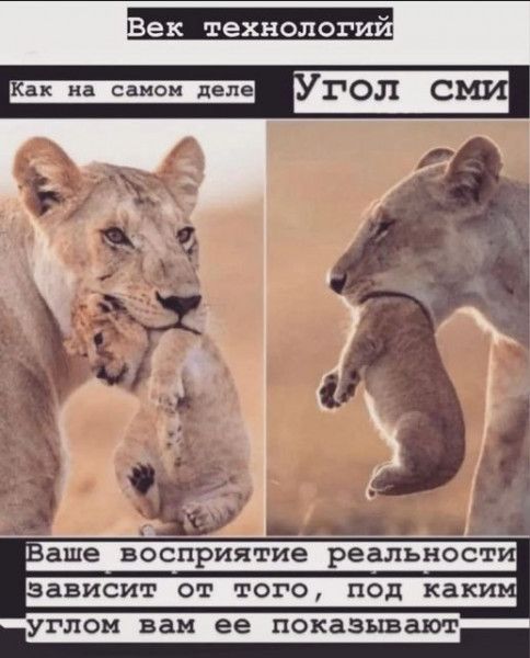 г к _ аше восприятреальнос ависит от того под как углом вам ее показывают