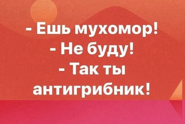 Ешь мухомор Не буду Так ты антигрибник А