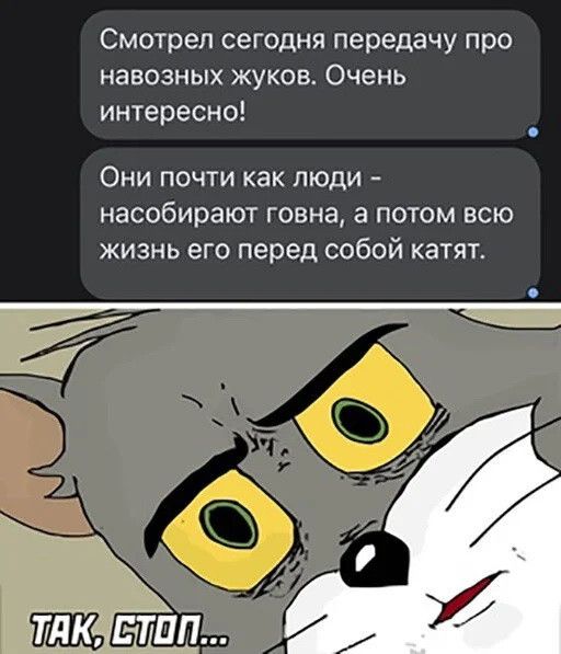 Смотрел сегодня передачу про НЭВОЗНЫХ ЖУКОВ ОЧЕНЬ интересно Они почти как люди насобирают говна а потом всю жизнь его перед собой катят
