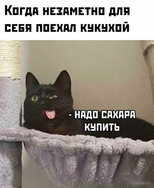 КПГдд НЕЗПМЕТНП для СЕБЯ ППЕШШ КНКНХПЙ