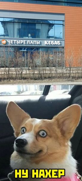 _м и