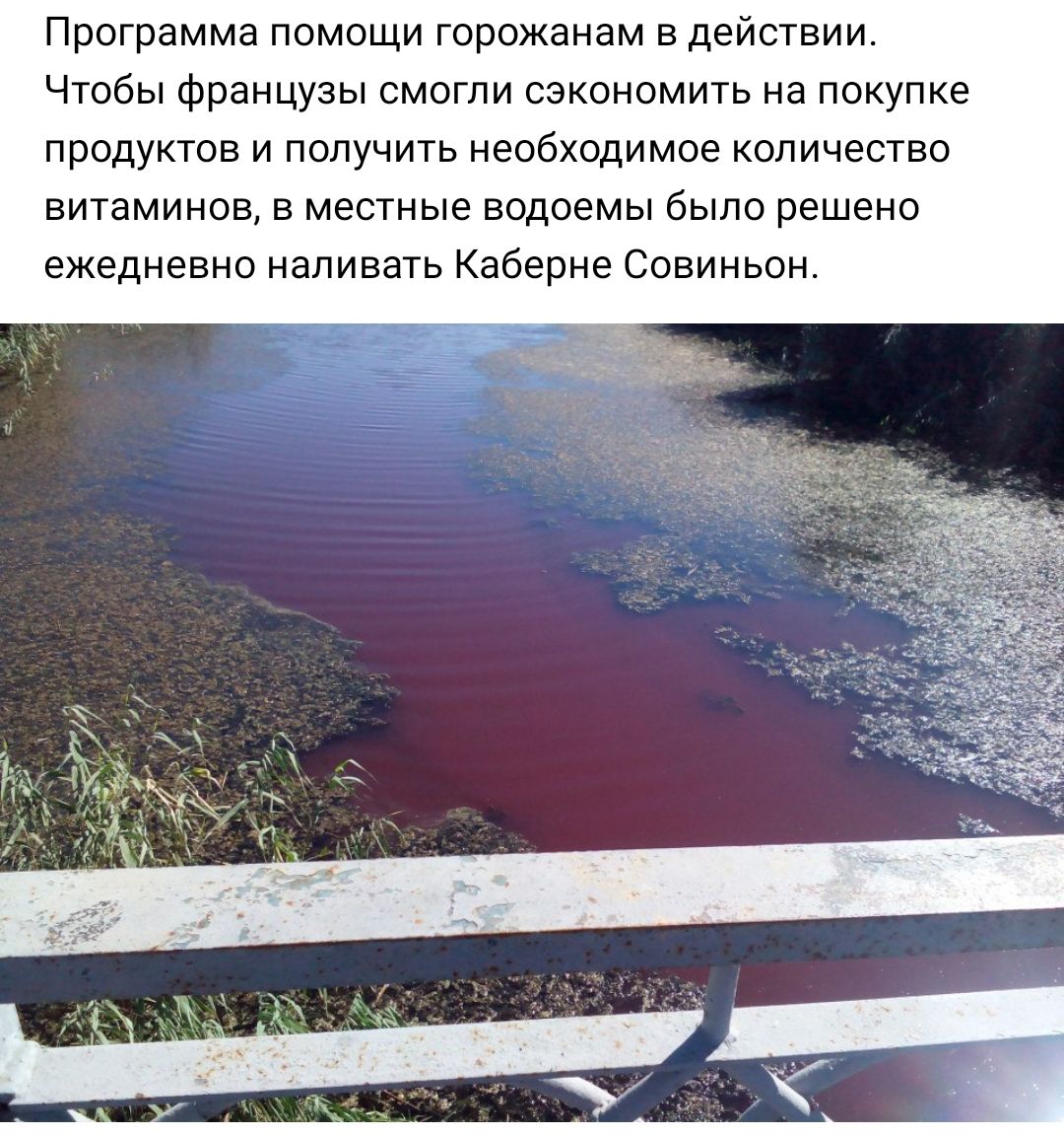 Программа помощи горожанам в действии Чтобы французы смогли сэкономить на покупке продуктов и получить необходимое количество витаминов в местные водоемы было решено ежедневно наливать Каберне Совиньон