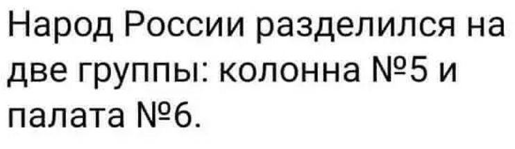 Народ России разделился на две группы колонна 5 и палата 6