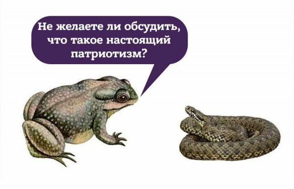 Не желаете ли обсудить что такое настоящий патриотизм