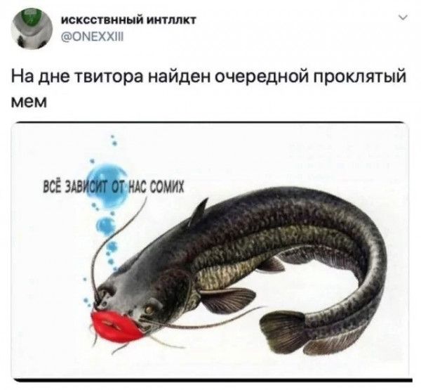 ИСКССПИИНЙ НТМКТ ОМЕххш На дне твитора найден очередной проклятый мем ВСЁ СОМИХ