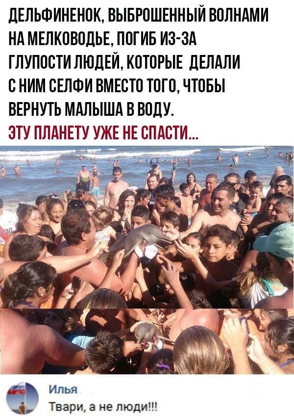 дЕЛЬФИНЕНОК ВЫБРОШЕННЫЙ ВОЛНАМИ НА МЕЛКОВОДЬЕ ПОГИБ ИЗ ЗА ГЛУПОСТИ ЛЮДЕЙ КОТОРЫЕ дЕЛАЛИ О НИМ ОЕЛФИ ВМЕОТО ТОГО ЧТОБЫ ВЕРНУТЬ МАЛЫША В ВОДУ ЗТУ ПЛАНЕТУ УЖЕ НЕ ОПАОТИ А Твари а не люди