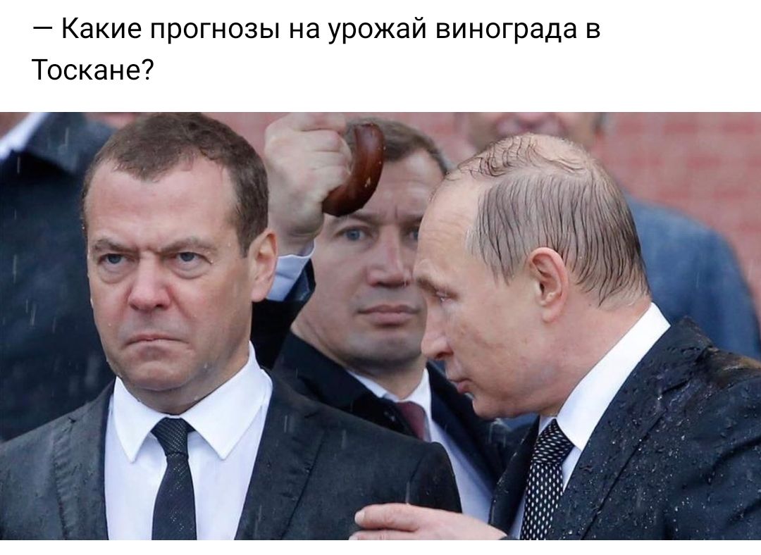 Какие прогнозы на урожай винограда в Тоскане