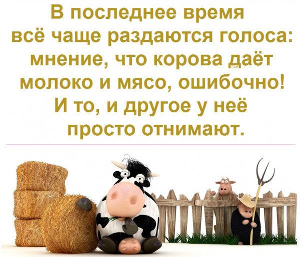 В последнее время всё чаще раздаются голоса мнение что корова даёт молоко и мясо ошибочно И то и другое у неё просто отнимают