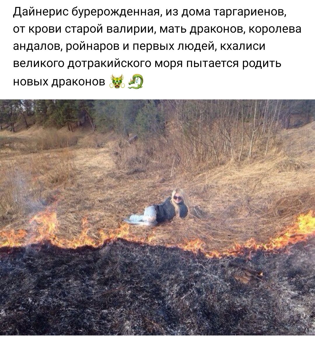 Дайнерис бурерожденная из дома таргариенов от крови старой валирии мать драконов королева андалов ройнаров и первых людей кхалиси великого дотракийского моря пытается родить НОВЫХ драконов