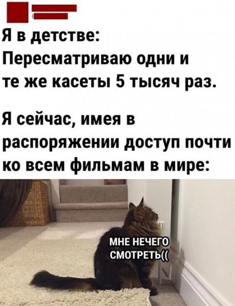Я в детстве Пересматриваю одни и те же касеты 5 тысяч раз Я сейчас имея в распоряжении доступ почти ко всем фильмам в мире МНЕ нечего смотрет