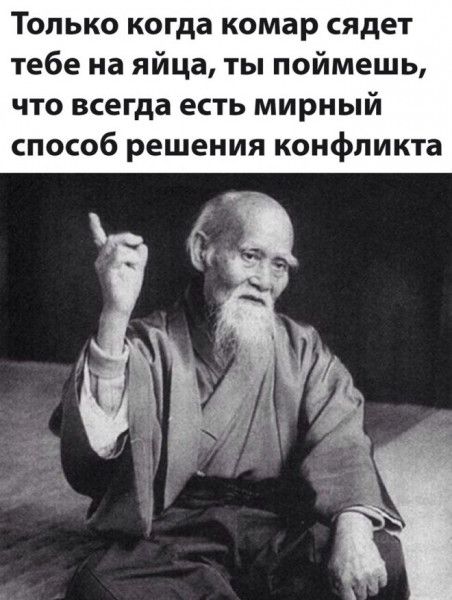 Только когда комар сядет тебе на яйца ты поймешь что всегда есть мирный способ решения конфликта