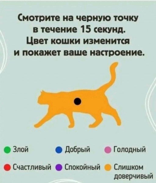 Смотрите на черную точку в течение 15 секунд Цвет кошки изменит И покажет ваше настроение Злой Добрый Голодный Счастливый Спокойный Слишком доверчивый