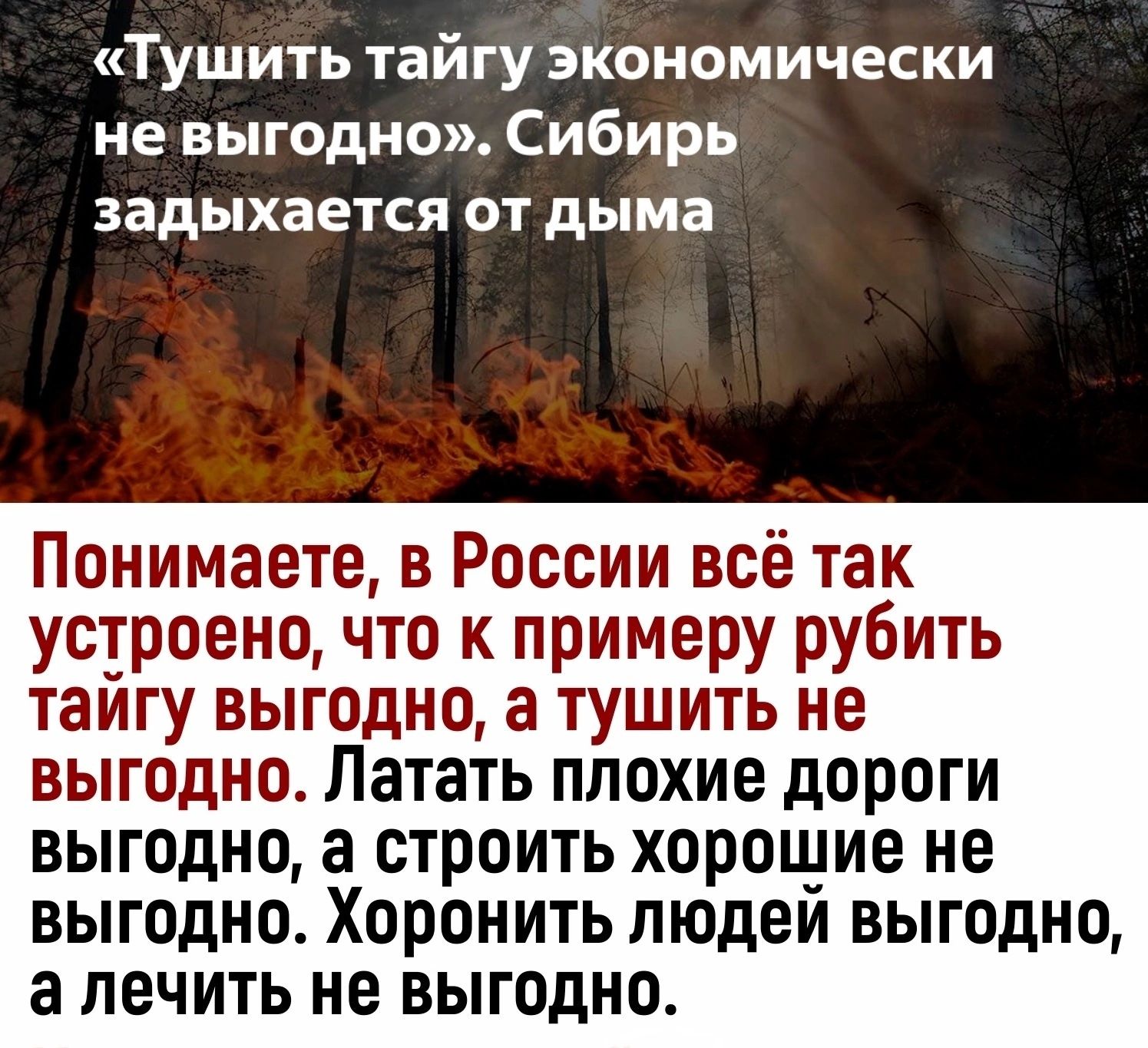 Тушить тайгу экономически не выгодно Сибирь задыхается от дыма Понимаете в России всё так устроено что к примеру рубить тайгу выгодно а тушить не ВЫГОДНО ЛЗТЗТЬ ПЛОХИЕ дОРОГИ ВЫГОДНО а строить ХОРОШИЕ не ВЫГОДНО Хоронить ЛЮДЕЙ ВЫГОДНО а лечить не ВЫГОДНО