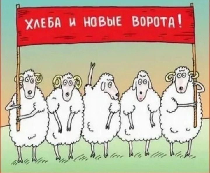 хмм и новые ворптдч