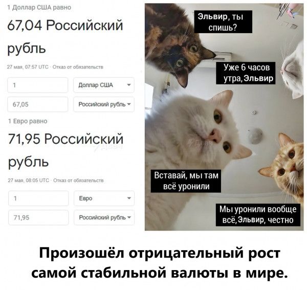 зпр 6704 Российский рубль п 7195 Российский рубль не Произошёл отрицательный рост самой стабильной валюты в мире