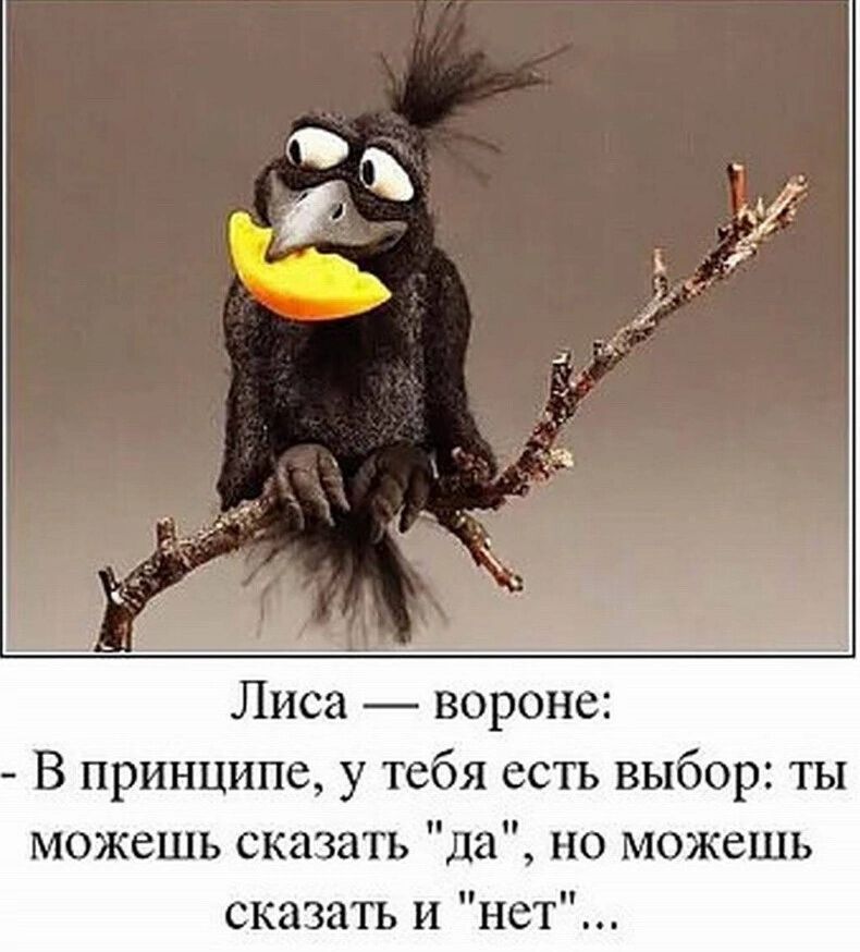 Лиса вороне В принципе у тебя есть выбор ты можешь сказать да но можешь сказать и нет