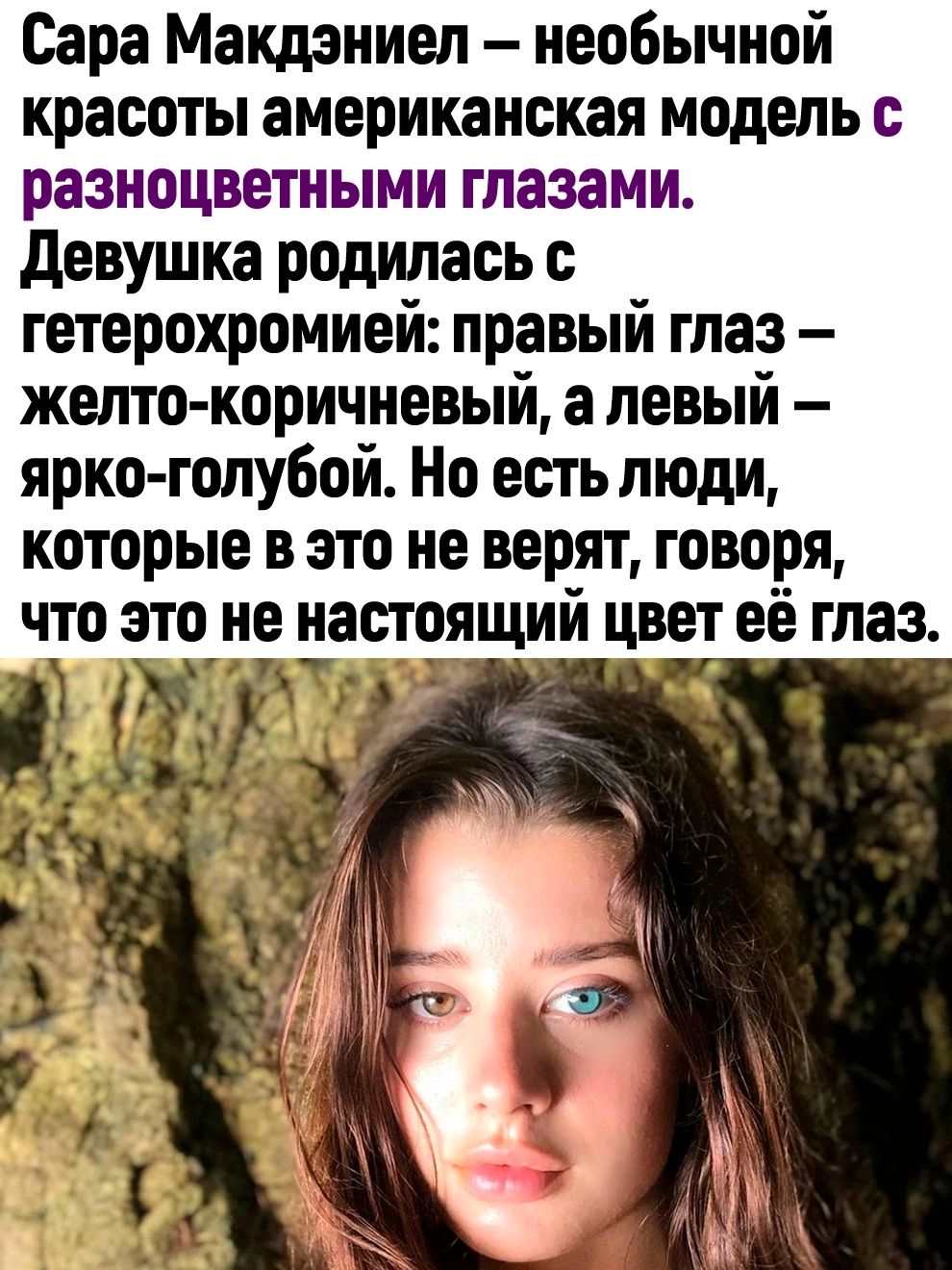Сара Макдэниел необычной красоты американская модель с разноцветными глазами девушка родилась 0 гетерохромией правый глаз желто коричневый а левый ярко голубой Но есть люди которые в это не верят говоря что это не настоящий цвет её глаз