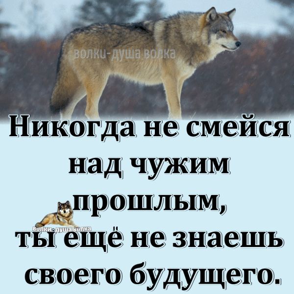 на д чужим ёпрошльшм тііі ещё не знаешь сваоеіта будуще