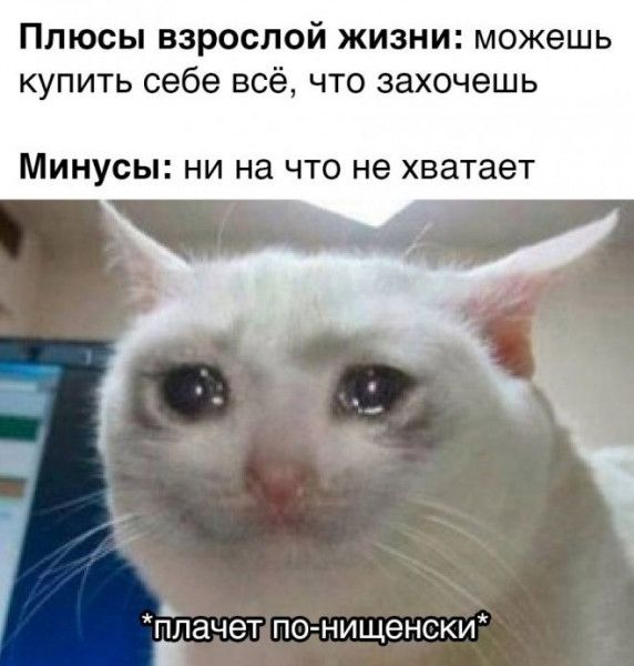 Плюсы взрослой жизни можешь купить себе всё что захочешь МИНУСЫ НИ на ЧТО не хватает ппачет погнищенски