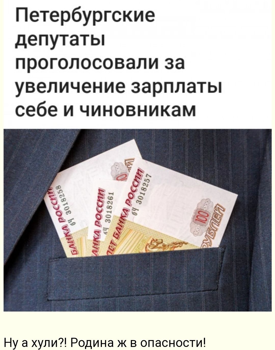 Петербургские депутаты проголосовали за увеличение зарплаты себе и чиновникам Ну а хули Родина ж в опасности