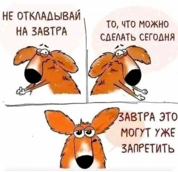 НЕ откмдывди НА ЗАВТРА ТО ЧТО МОЖНО САЕМТЬ СЕГОАНЯ АВТРА ЭТО МОГУТ УЖЕ ЗАПРЕТИТЬ