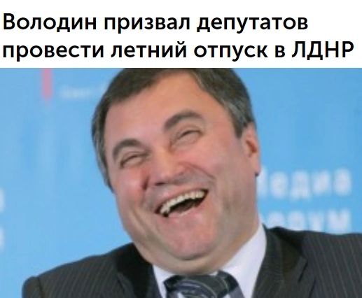 Володин призвал депутатов провести летний отпуск в ЛДНР и