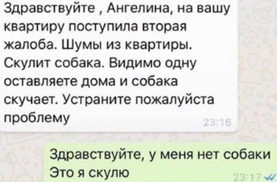Здравствуйте Ангелина на вашу квартиру поступила вторая жалоба Шумы из квартиры Скупит собака Видимо одну оставляете дома и собака скучает Устраните пожалуйста проблему Здравствуйте у меня нет собаки Это я скупю