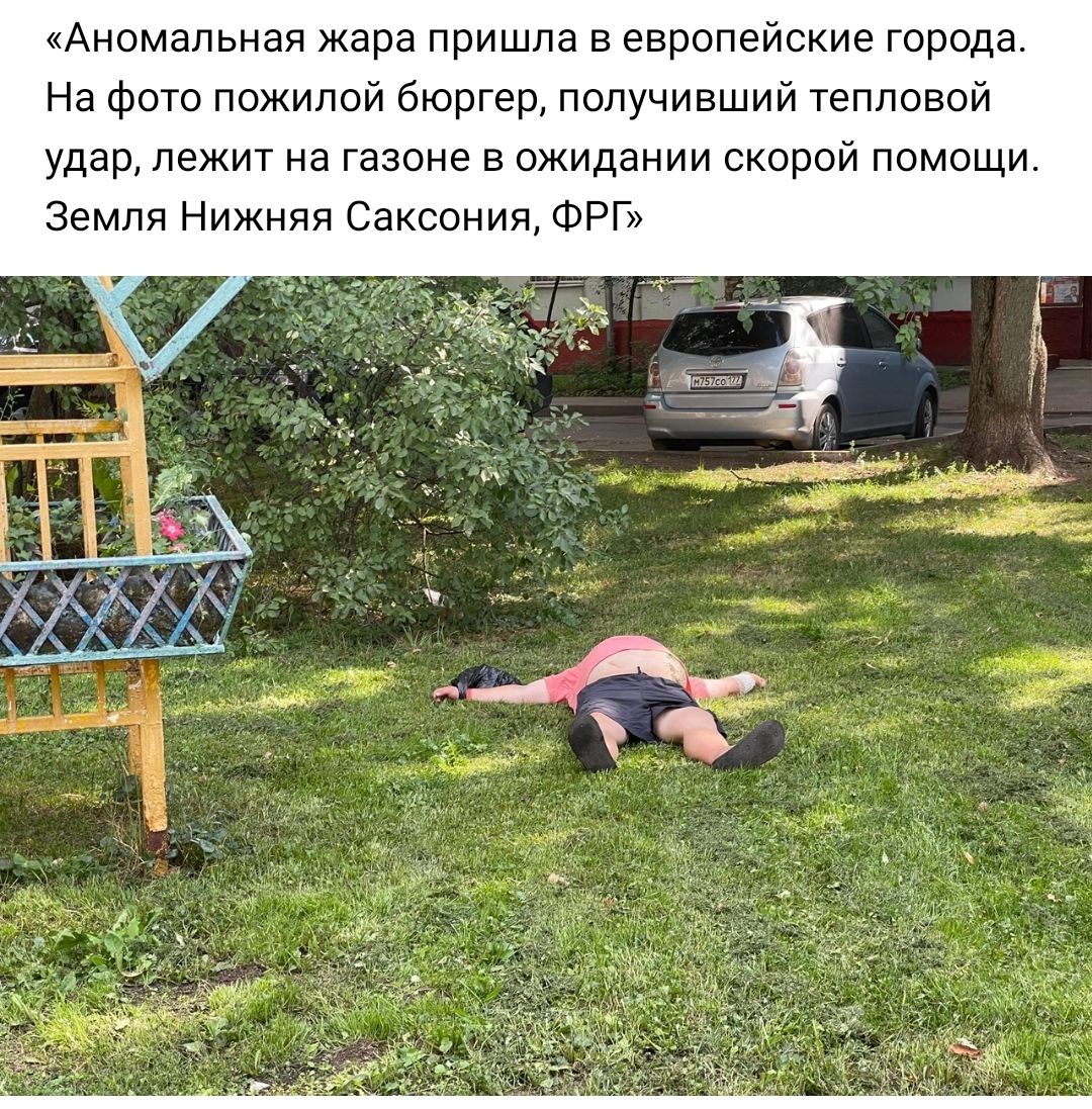 Аномальная жара пришла в европейские города На фото пожилой бюргео получивший тепловой удар ЛЭЖИТ на газоне Е ожидании СКОРОЙ ПОМОЩИ Земля Нижняя Саксония ФРБ