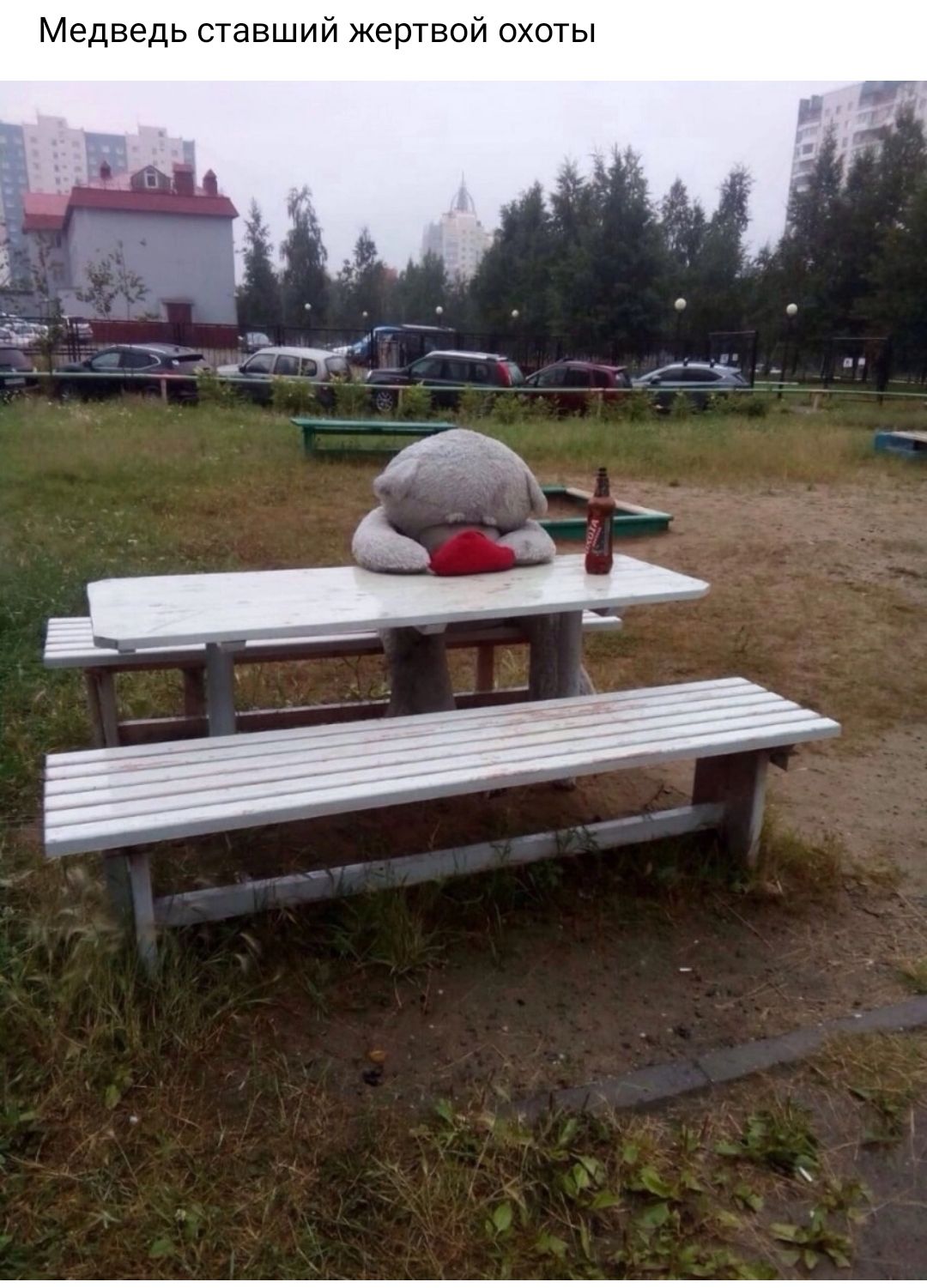 Медведь ставший жертвой охоты