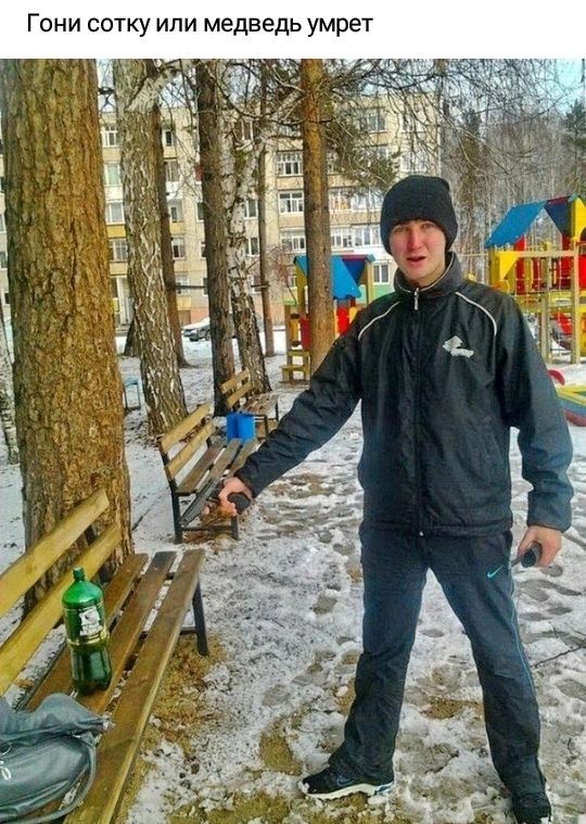 Гони сотку или медведь умрет