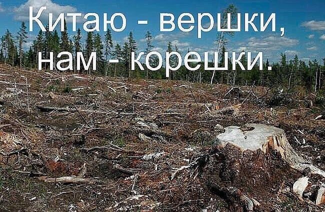 ю вершки я