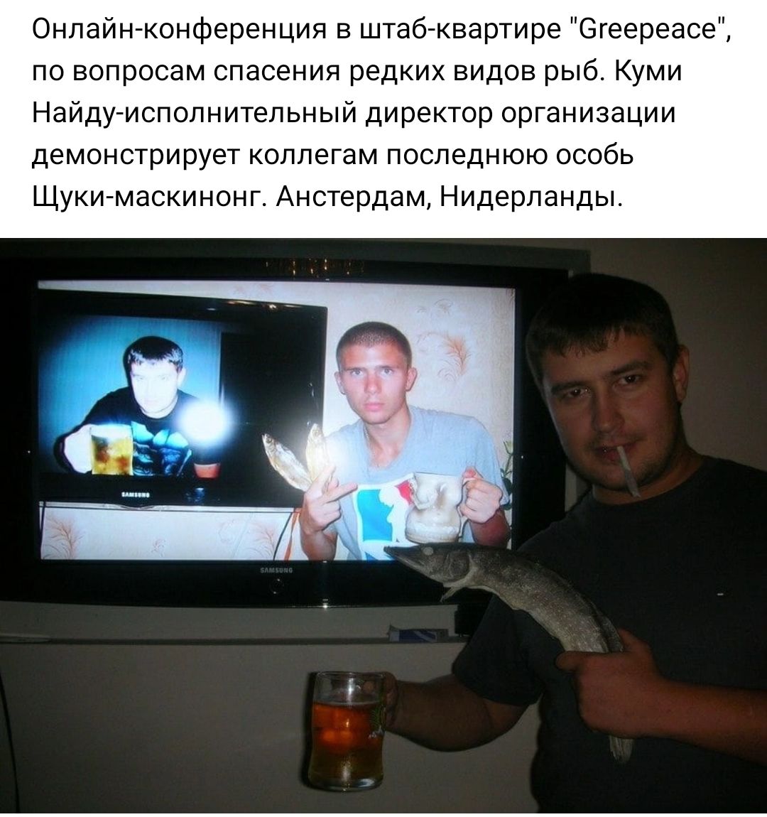 Онлзйжконференция в штабтквартире Этгеергасг по вопросам спасения редких видов рыб Куми Найдумспвпнитепьный директор организации демонстрирует коллегам последнюю особь Щукимаскинонг Амстердам Нидерланды