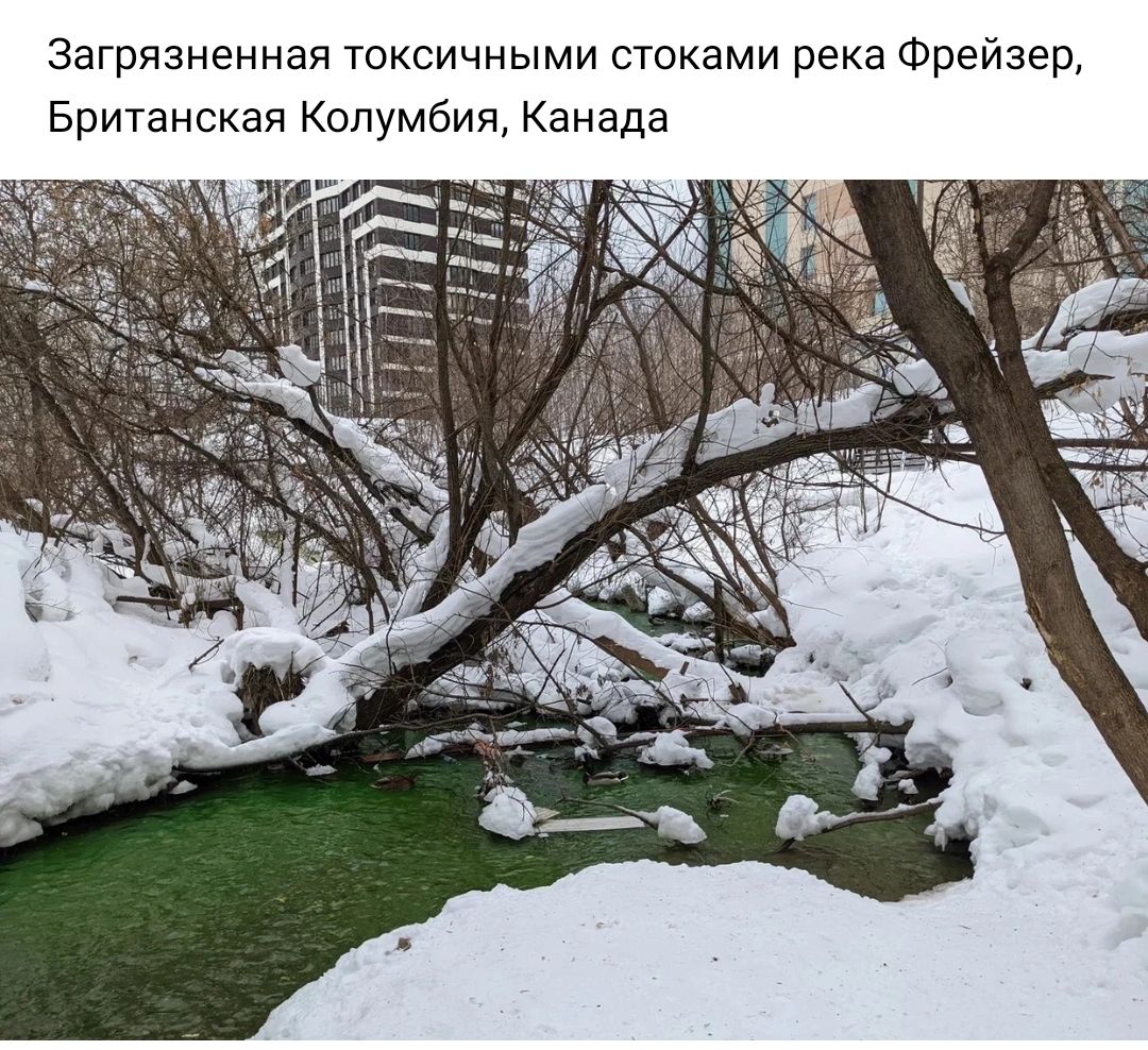 Загрязненная токсичными стоками река Фрейзер Британская Колумбия Канада