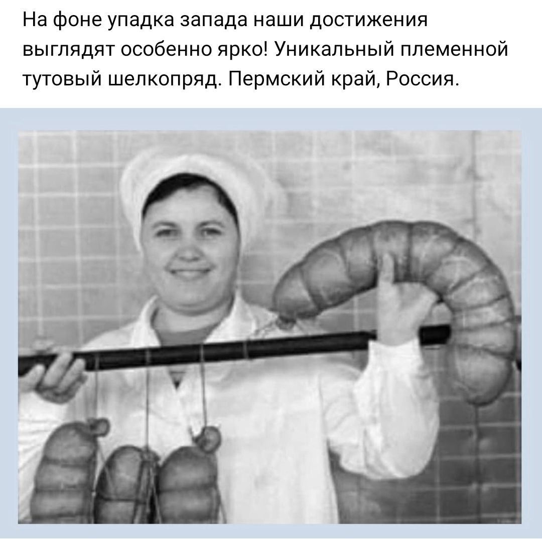 На фоне упадка запада наши достижения выглядят особенно яркы Уникальный племенной тутовый шелкопряд Пермский край Россия