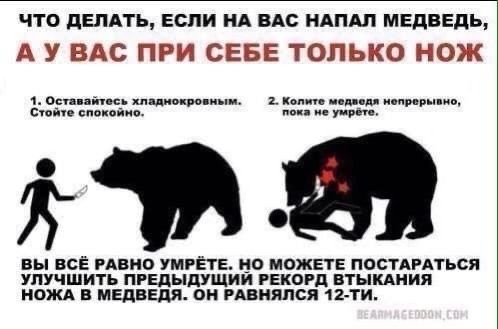 что делять если ил ндс ндпш медведь А У ВАС ПР СЕБЕ ТОПЬ О 1 о 1 ли спикін вы все пино УМРЁТЕ но может посппться улучшить пгЕлыдущии рекогп втыкдиия иожд н медным он пвияпся 12 ти