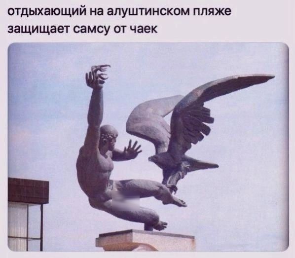отдыхающий на апуштинском пляже ЗЗЩИЩЗВТ самсу ОТ чаек