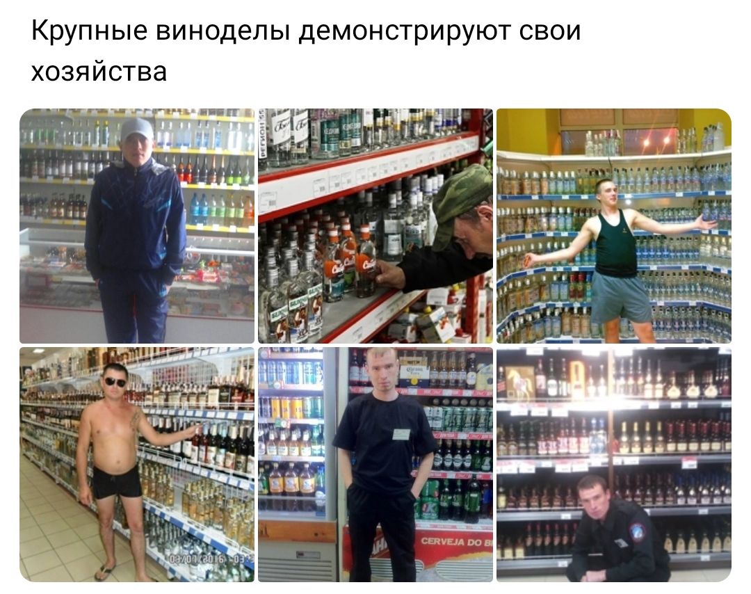 Крупные винодепы демонстрируют свои хозяйства
