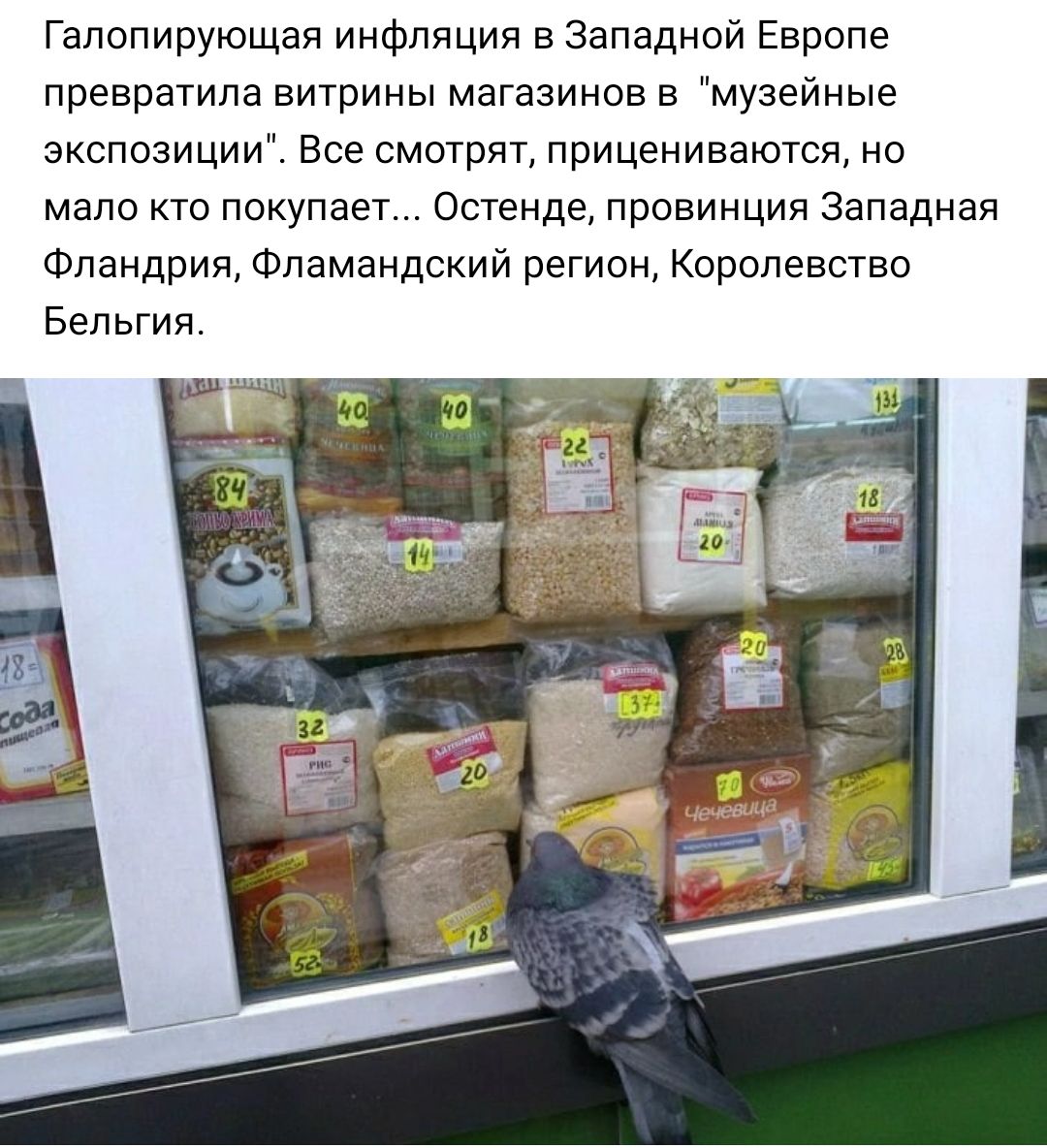 Гапопирующая инфляции в Западной Европе превратила витрины магазинов в музейные экспозиции Все смотрят прицениваются но мало КТО ПОКУПЭЕТ Остенде ПРОВИНЦИЯ Западная Фландрия Фламандский регион Королевство Бельгия