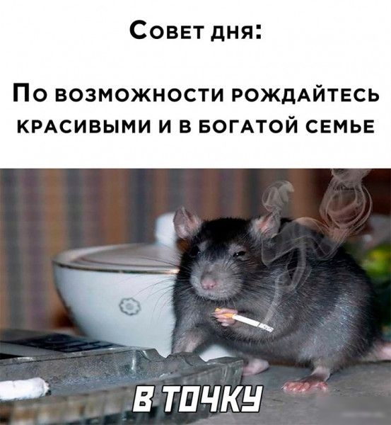 Совет дня ПО ВОЗМОЖНОСТИ РОЖДАЙТЕСЬ КРАСИВЫМИ И В БОГАТОЙ СЕМЬЕ Чх втпчку