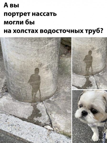 А вы портрет нассать могли бы на хопстах водосточных труб