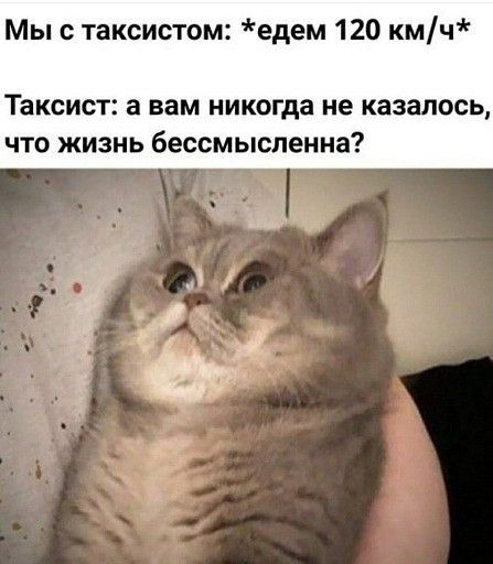 Мы с таксистом едем 120 кмч Таксист а вам никогда не казалось ЧТО ЖИЗНЬ бессмысленна зцыщ г