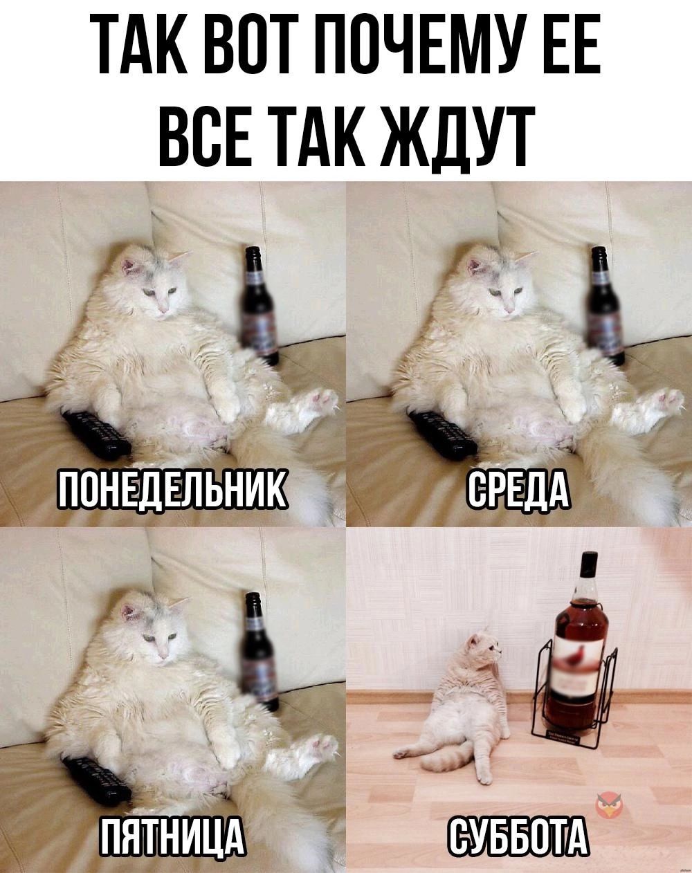 ТАК ВПТ ПОЧЕМУ ЕЕ ВСЕ ТАК ЖДУТ