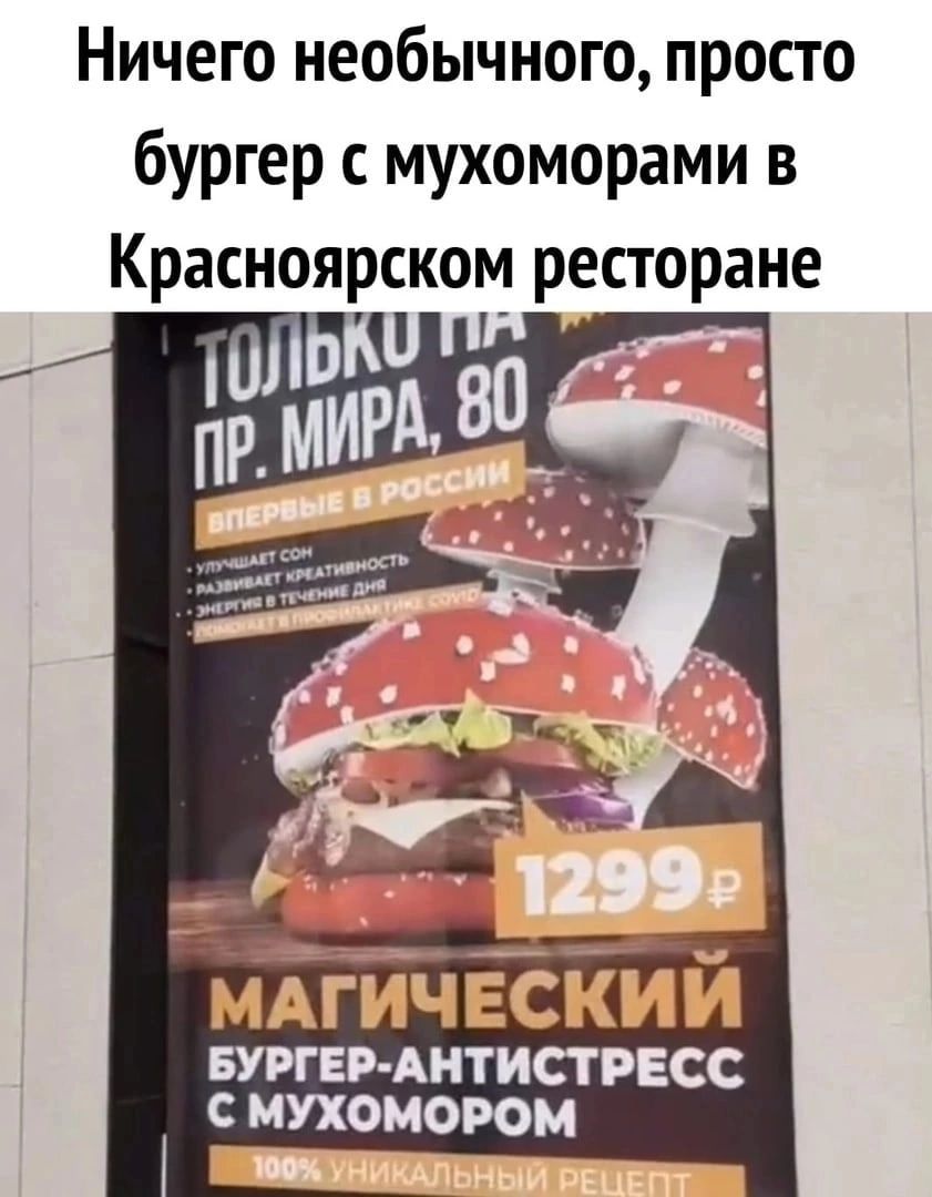 Ничего необычного просто бургер мухоморами в __ МАГИЧ ЕСКИИ БУРГЕР АНТИСТРЕСС С МУХОМОРОМ