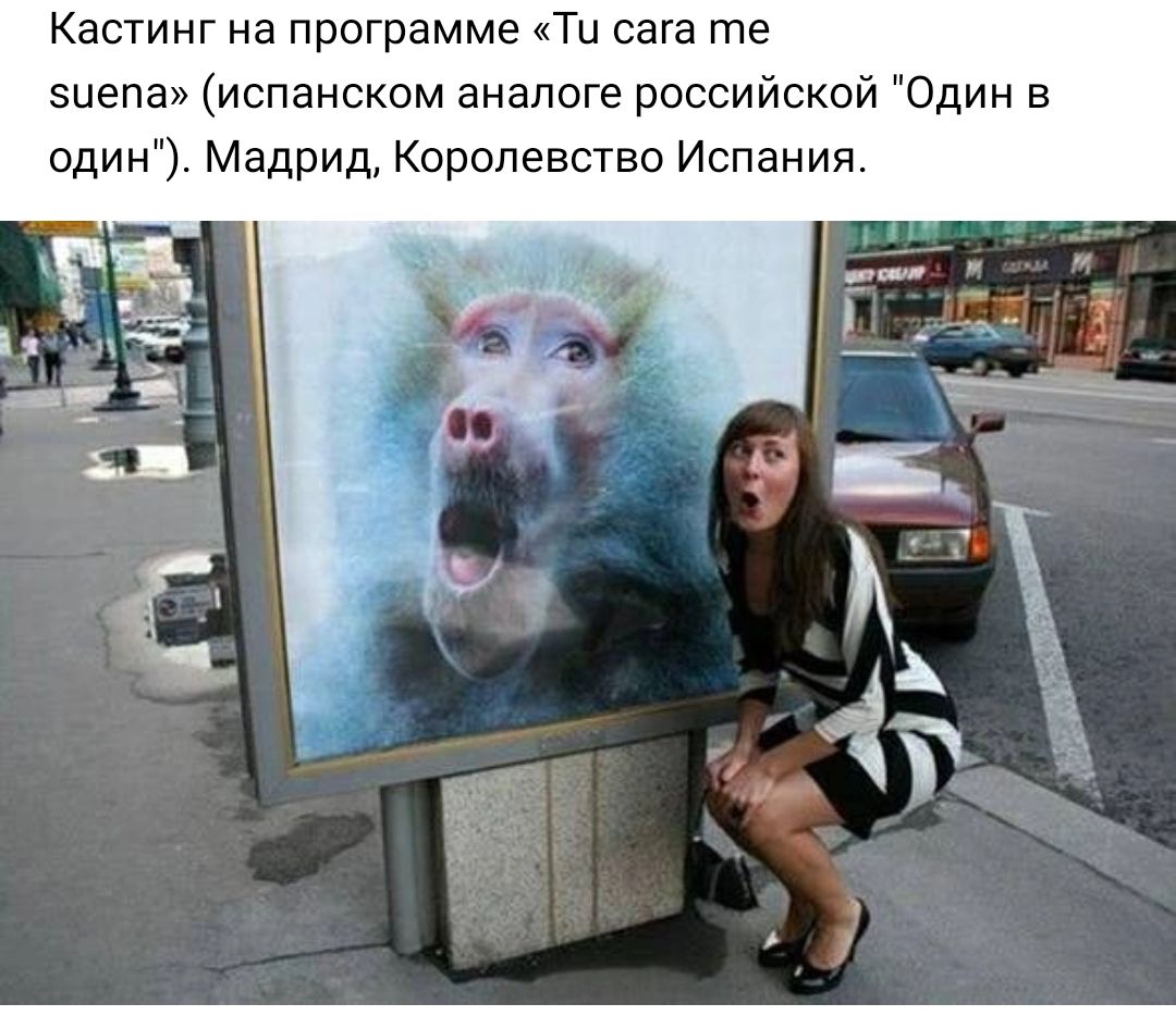Кастинг на программе Ти сага те эиепа испанском аналоге российской Один в один Мадрид Королевство Испания