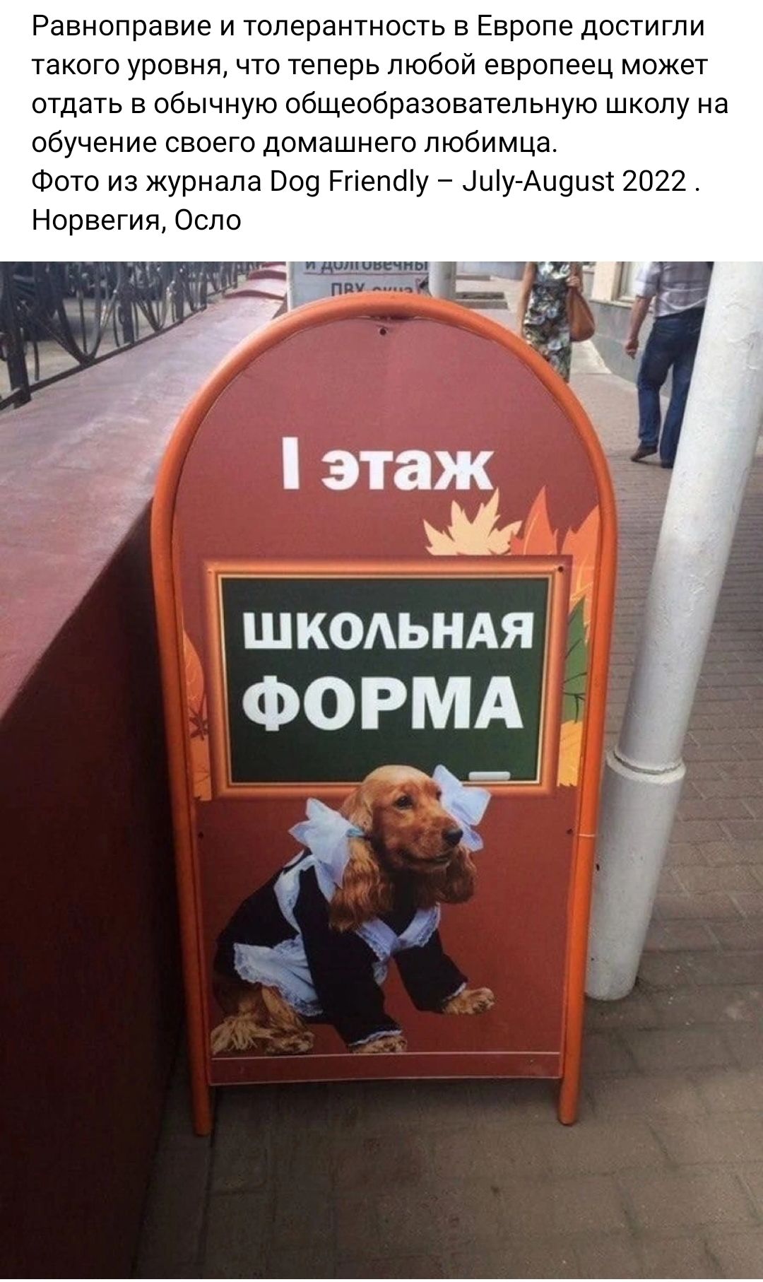 Равноправие и толерантность в Европе достигли такого уровня что теперь любой европеец может отдать в обычную общеобразоватепьную школу на обучение своего домашнего любимца Фото из журнала 009 ггтепШу ЦиіуАыонзт 2022 Норвегия Осло