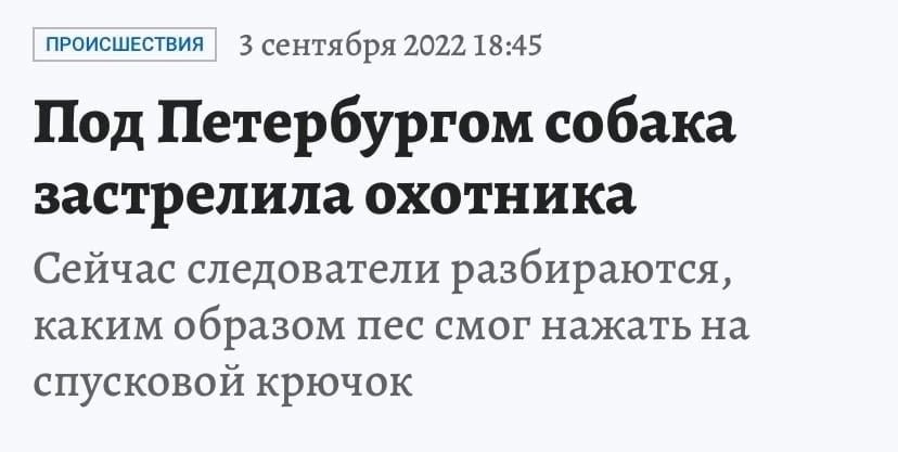 пансшэстп 3 сет пя бря 2021 1845 Под Петербургом собака зас грелина охотника Сейчас следователи разбираются каким образом ПЕС СМОГ НЗЖЗТЬ на спусковой крючок
