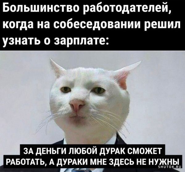 Большинство работодателей когда на собеседовании решил узнать О зарплате ЗА дЕНЬГИ ЛЮБОЙ дУРАК СМОЖЕТ РАБОТАТЬ А дУРАКИ МНЕ ЗДЕСЬ НЕ НУАішу