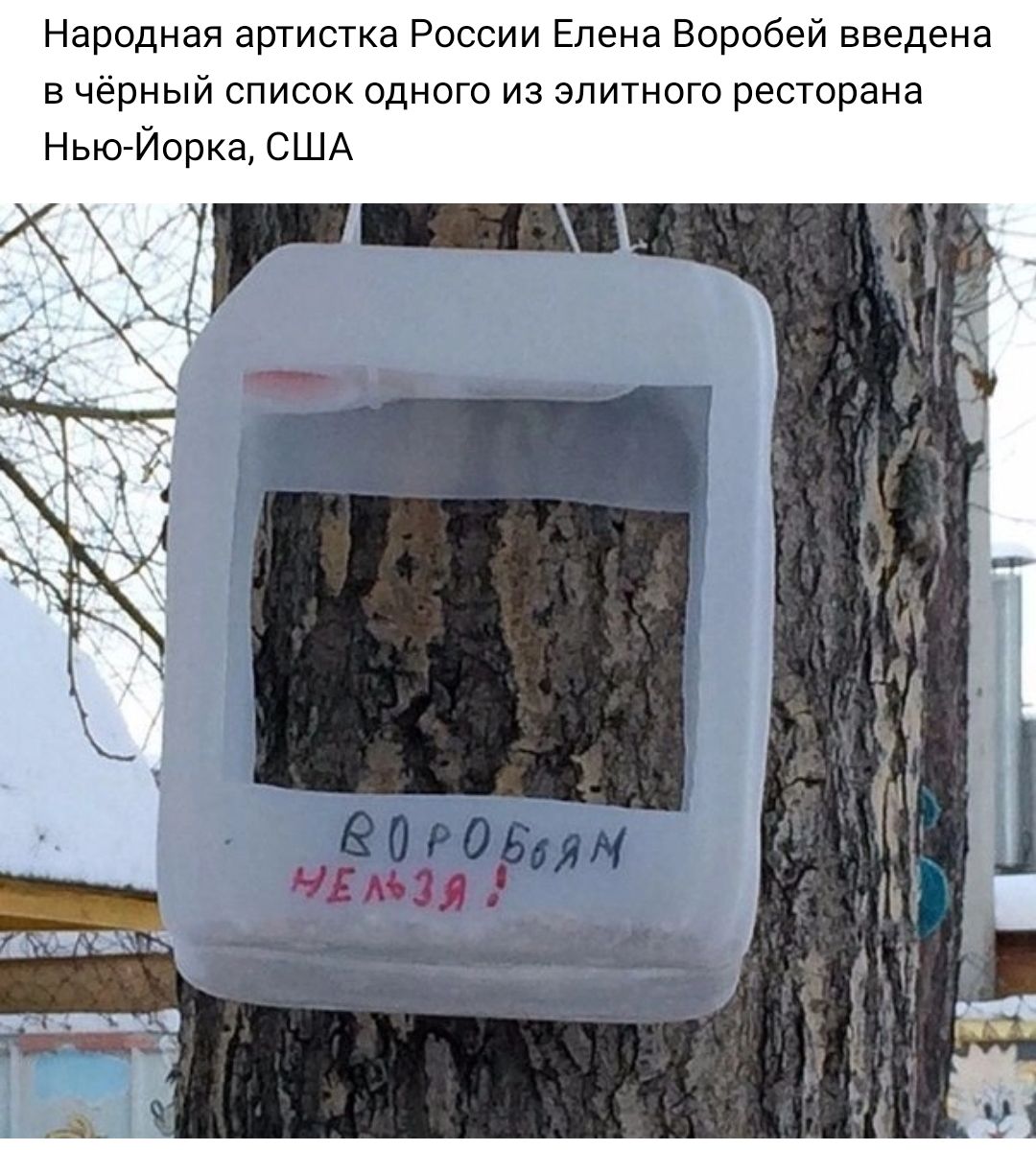 Народная арТистка России Елена Воробей введена в черный список одного из элитного ресторана НьюИорка США