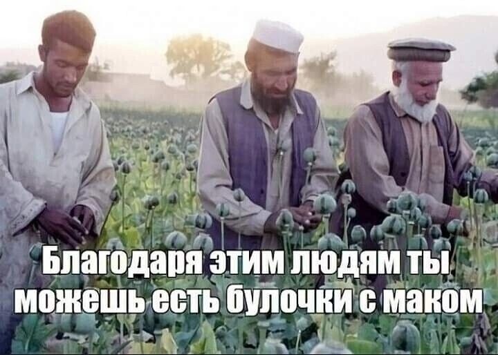 Благодаря _ЗТИМ ЛЮДЯМ ты можешь есть бШШЧЁИ МШЮМ