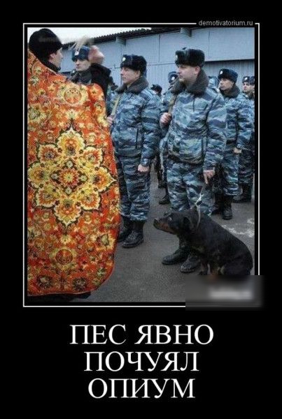 ПЕС ЯВНО ПОЧУЯЛ ОПИУМ